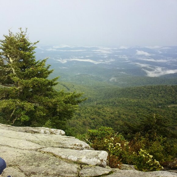 Meet your Posher, Vanessa - Picture 1 of 1